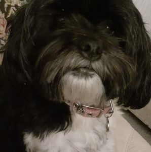 Meet your Posher, Kim